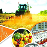 فعالیت های صنعتی و کشاورزی
